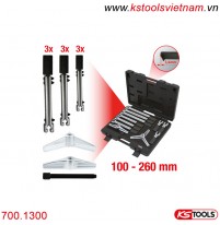 Bộ cảo đa năng 12 chiếc 100-260 mm KS Tools 700.1300